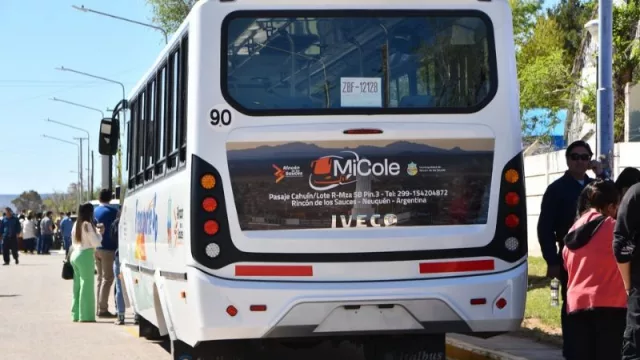 Rincón de los Sauces lanzó su primer sistema de colectivos urbanos con tecnología y cobertura integral