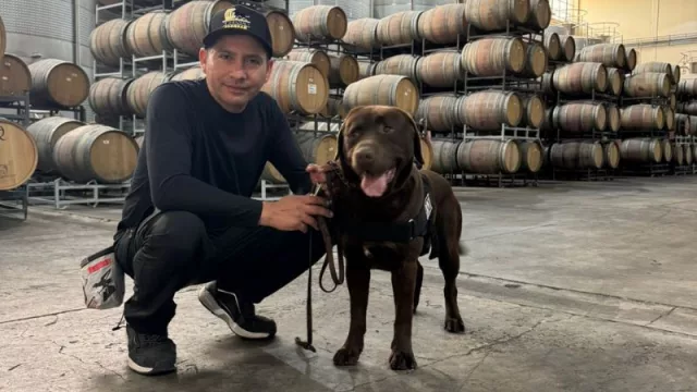 Perros enólogos: Natinga Tour a Mendoza, caninos detectores de contaminantes del vino