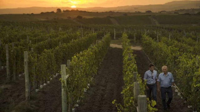 Alejandro Pedro Bulgheroni, reconocido con el “Lifetime Achievement Award” por Wine Enthusiast