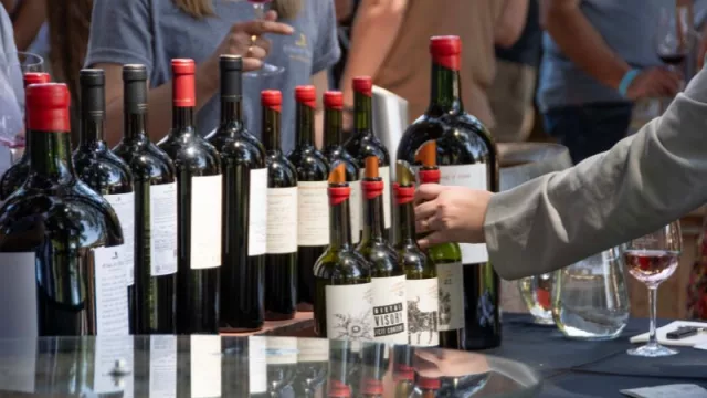 Llega la VII edición de Feria de Terruños, de Karim Mussi Winemaker