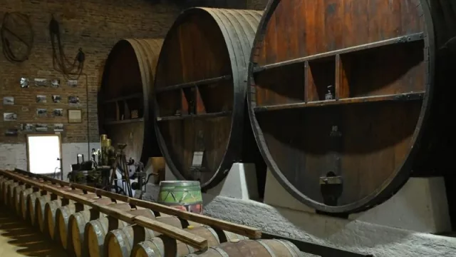 Río Negro celebra el enoturismo con 12 bodegas abiertas al público del Alto Valle