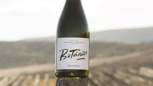 Botánico 2024, el único vino blando de Sudamérica en el top 100 mundial de Wine Spectator
