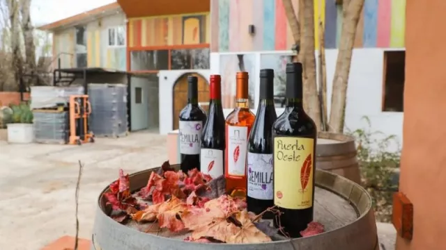 Puerta Oeste invita a una tarde de vinos, cocina local y espectáculos en la nueva edición de Turismo Rural con Bodegas