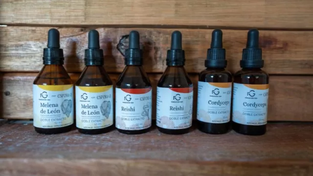 La Patagonia estrena un nuevo concepto de turismo de bienestar con cáñamo medicinal y alimenticio