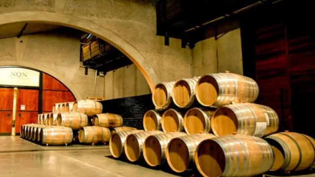 Caen las ventas de vino en noviembre y la Patagonia muestra señales de resiliencia en un mercado en retroceso