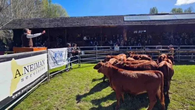La 83° Exposición Rural del Neuquén se realizará del 21 al 25 de enero en Junín de los Andes con entrada libre y gratuita