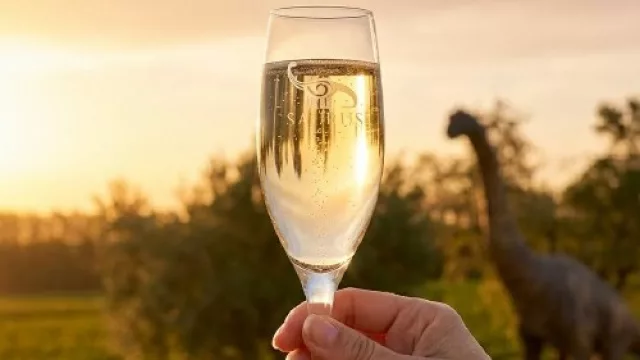 Deseado Sunset: vino, música y gastronomía premium se combinan en una experiencia que crece en el Alto Valle