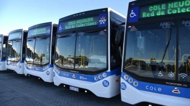 Neuquén suma nuevas frecuencias en colectivos y modifica recorridos por la obra de la Gran Avenida