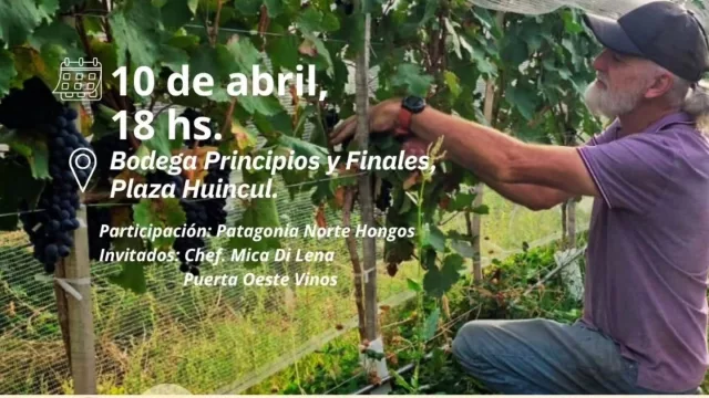 Plaza Huincul presenta “Entre Viñas y Hongos”, una experiencia gastronómica con sello local