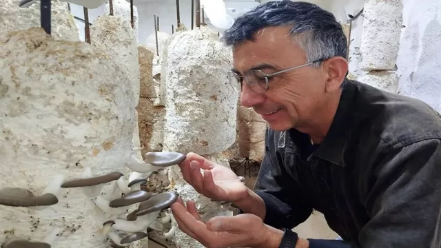 De la idea a la producción: Patagonia Hongos crece con tecnología y apuesta al mercado local