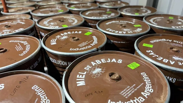 Aluminé será sede de una nueva edición de Expo Alumiel con foco en la producción apícola