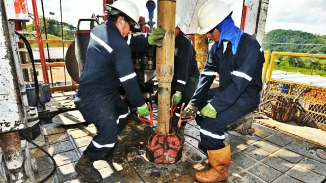 Neuquén y Río Negro lideran la creación de empleo mientras el resto del país pierde puestos de trabajo