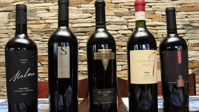El vino neuquino gana protagonismo y se consolida como eje del enoturismo provincial