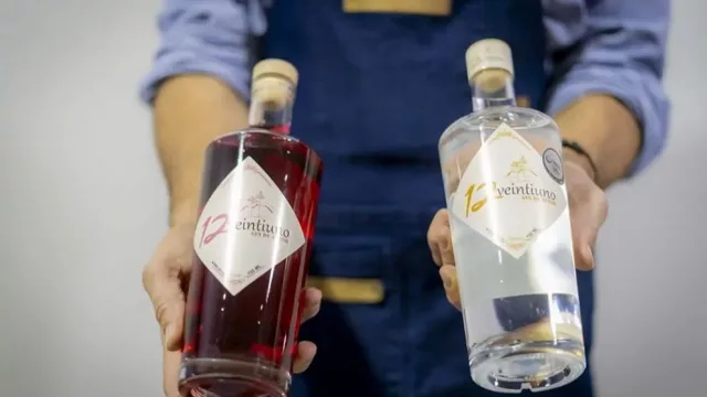 Un gin con alma neuquina conquista el Mercado de Vinos y apuesta a transformar paisaje en identidad