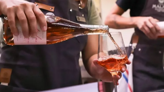 Neuquén participa por primera vez en Vinos & Negocios para potenciar su industria vitivinícola