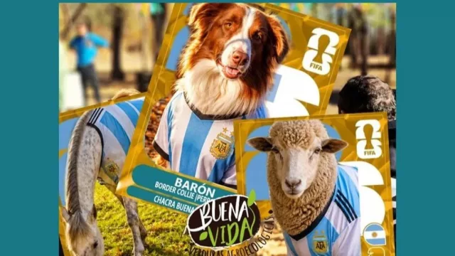 Buena Vida invita a disfrutar una tarde de campo, sabores regionales y música en Centenario