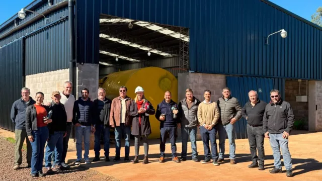 Misiones apuesta al bambú como nueva industria exportadora (una planta producirá insumos de alto valor agregado)