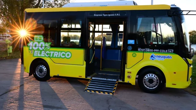 Los colectivos eléctricos del COLE ya transportaron 10.000 pasajeros en su primer mes de funcionamiento