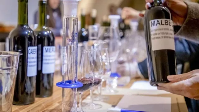 Enoturismo en Neuquén: Bodega Malma invita a vivir la experiencia de crear un vino propio