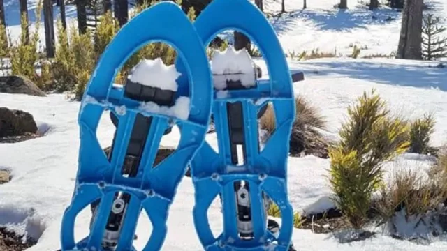 Caminatas con raquetas de nieve: proponen recorrer la cordillera neuquina en una experiencia única en Pino Hachado