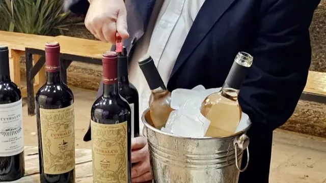 El Alto Neuquén impulsa una nueva etapa vitivinícola con bodegas y viñedos de montaña