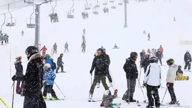 Chapelco incorporó el alquiler online de equipos y suma beneficios para los visitantes