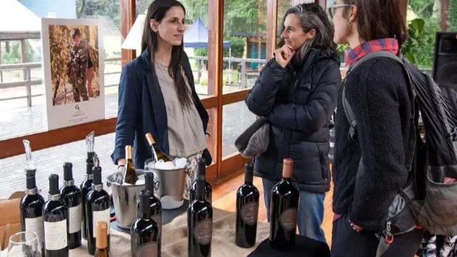 Estancia Chimehuín destacó el impacto de "Copas y Negocios" para generar nuevas oportunidades comerciales