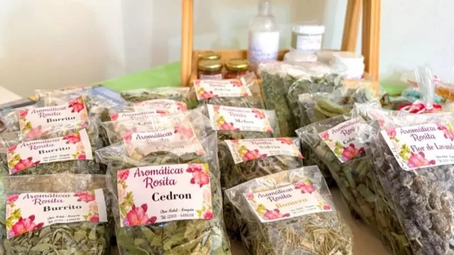 Emprendedora de Chos Malal transforma los sabores y plantas del norte neuquino en productos artesanales