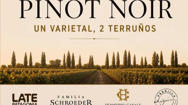 Pinot Noir de Río Negro y Neuquén se unen en una exclusiva cena maridaje en Cipolletti