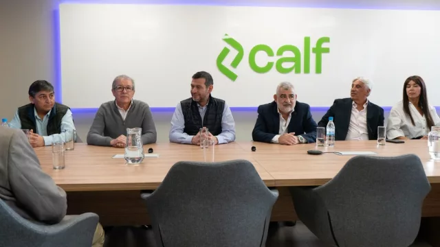 CALF invertirá US$ 3 millones para llevar fibra óptica a Vaca Muerta (y proyecta un Data Center en la Patagonia)
