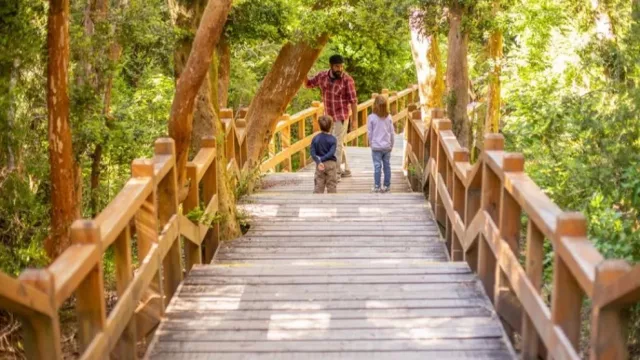 Villa La Angostura se prepara para una nueva edición del Festival Internacional de los Arrayanes