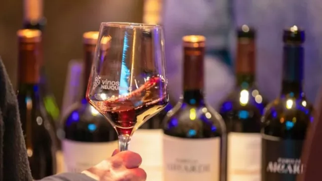 Neuquén declaró al Pinot Noir como cepa emblema y fijó el 18 de agosto como su día provincial