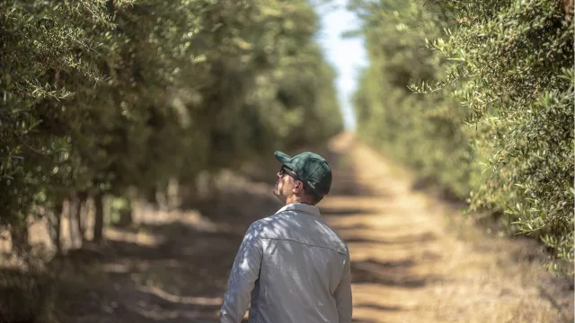 Mendoza capacita en producción orgánica para abrir mercados a frutas y hortalizas