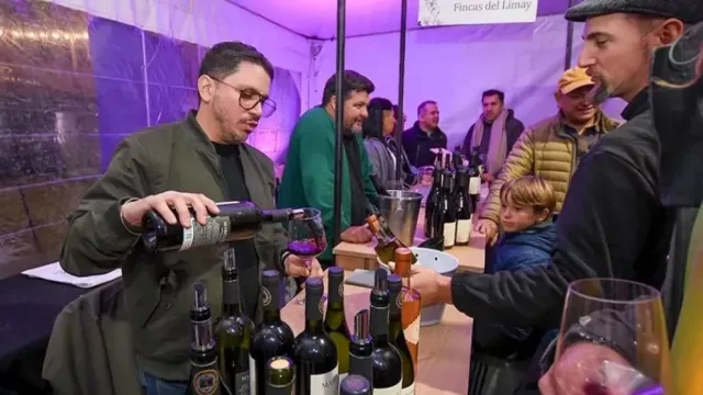 Blend Fest reunirá a 14 bodegas neuquinas con vinos, gastronomía y música en el Parque Central